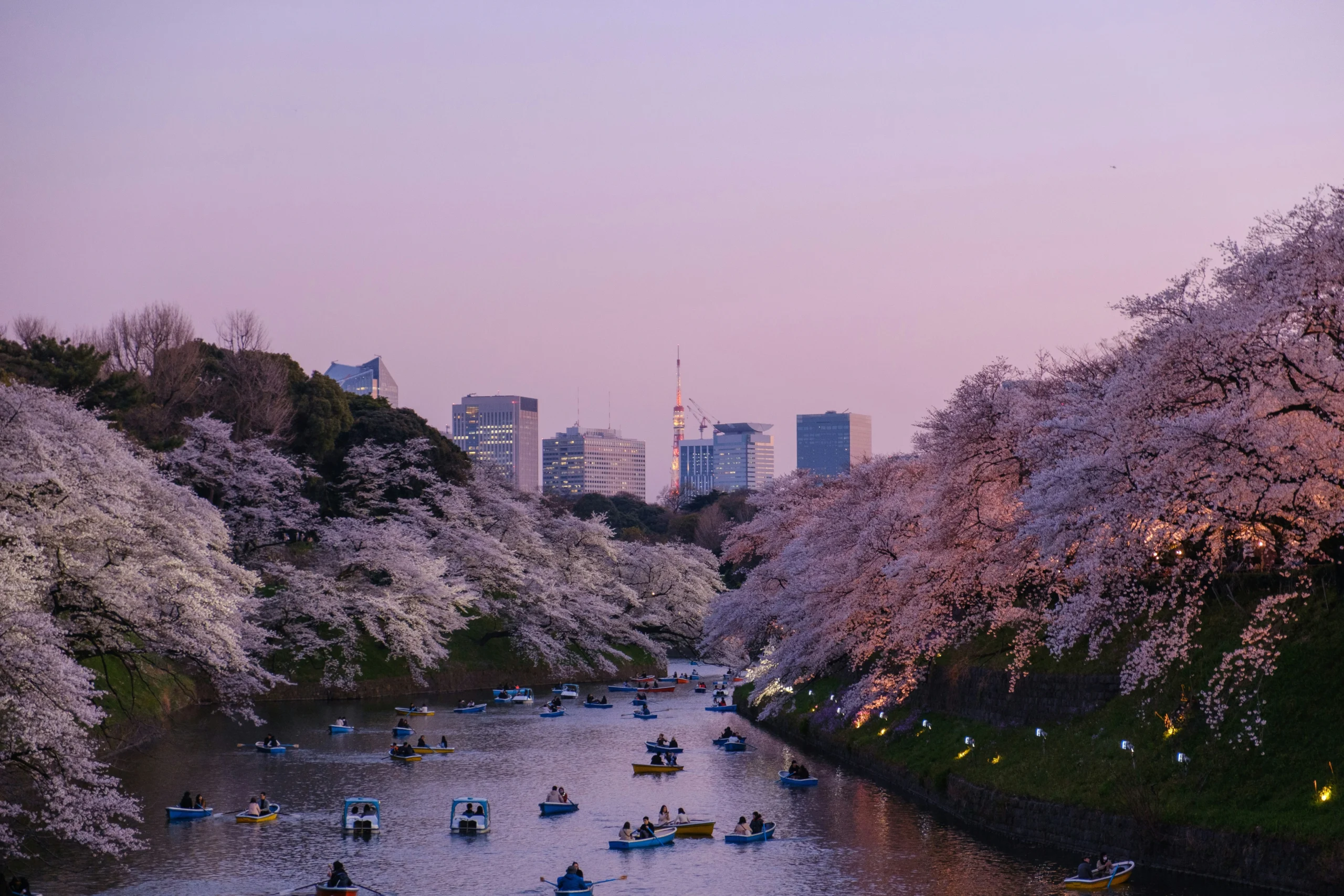 Qué ver en Tokio