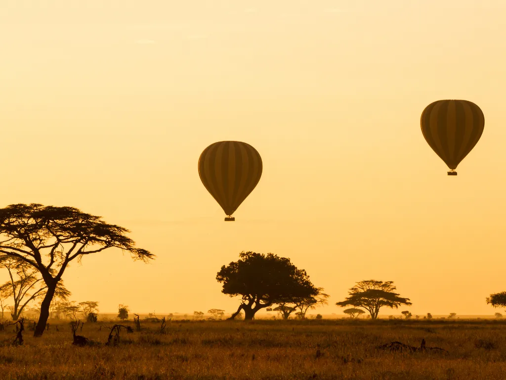 Viaje organizado a Tanzania