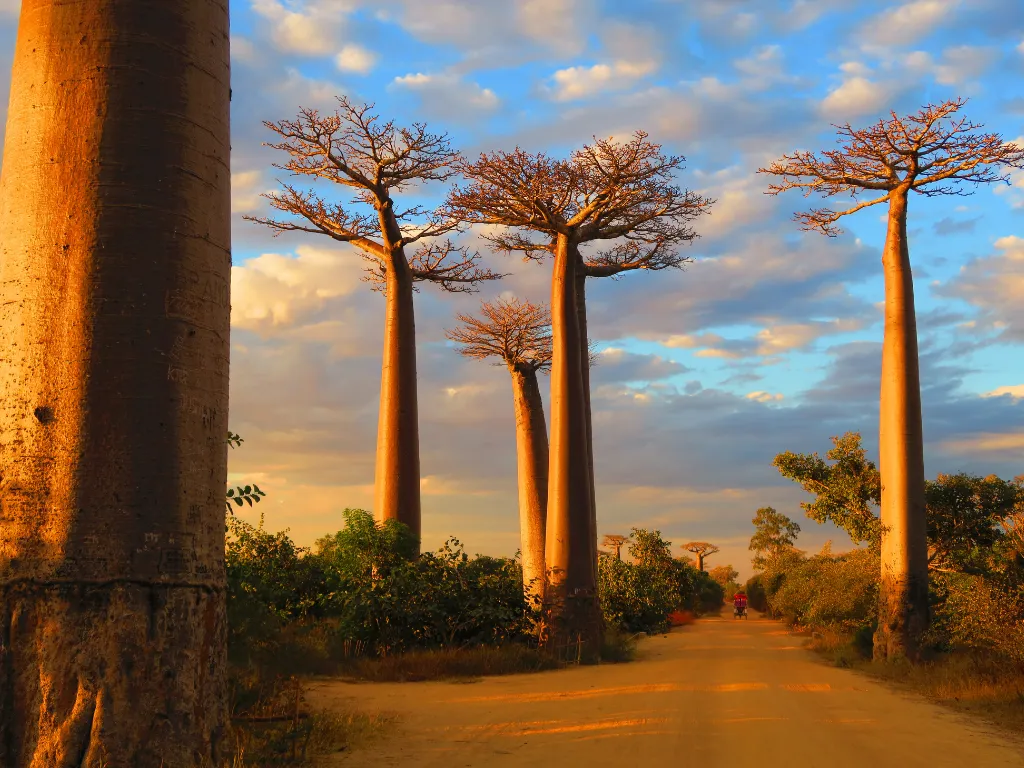 Viaje organizado a Madagascar