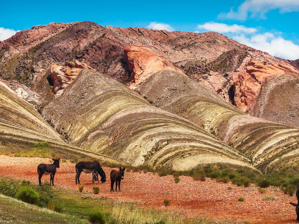 Viaje organizado a Argentina