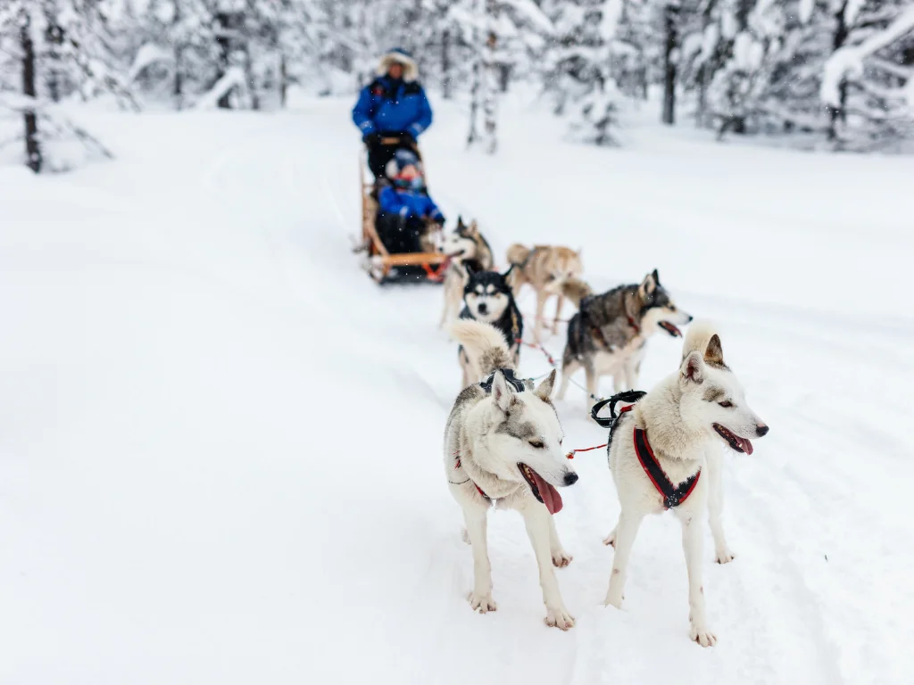 Viaje organizado a Finlandia