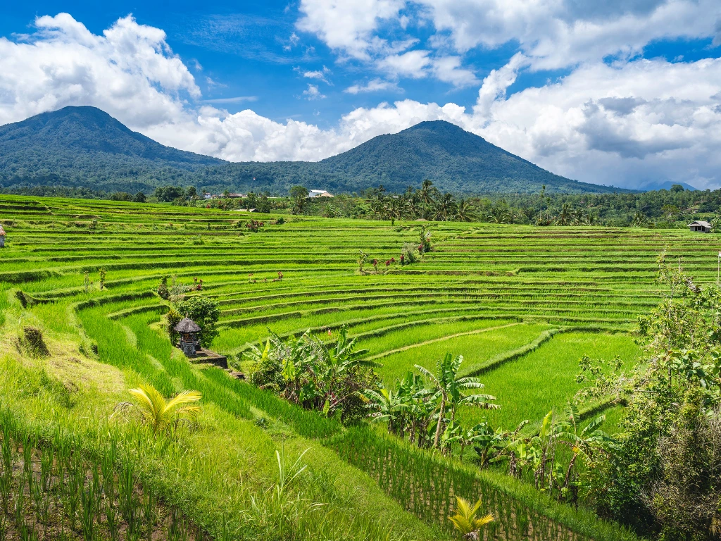 Viaje organizado a Indonesia