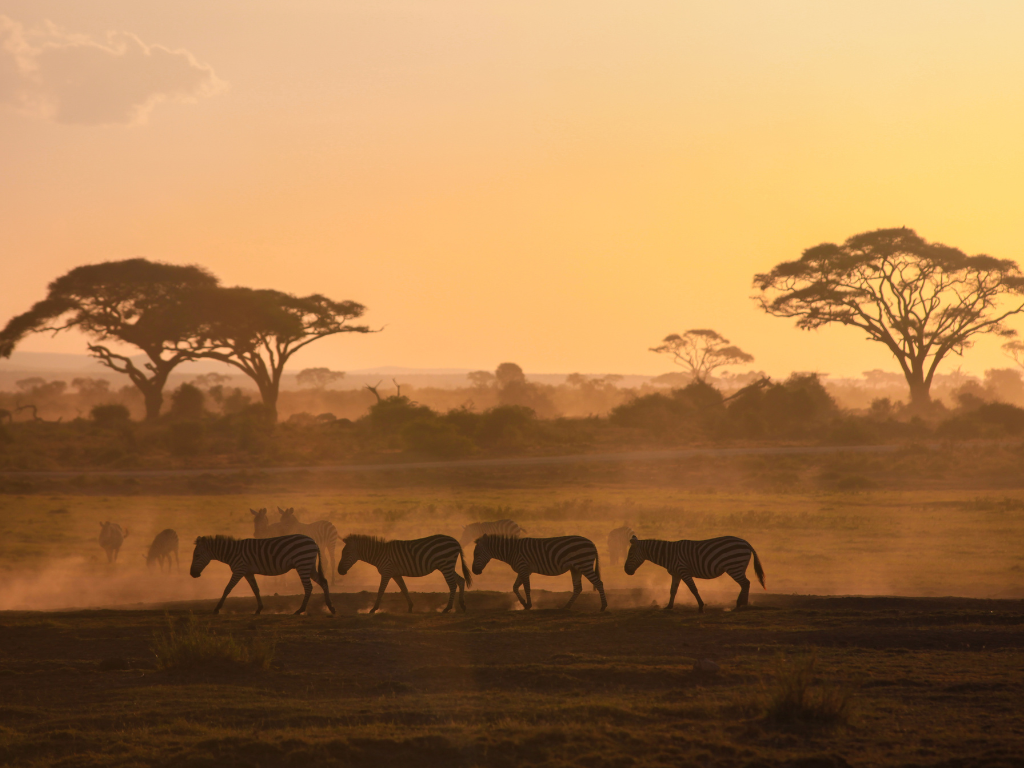 Viaje organizado a Kenia