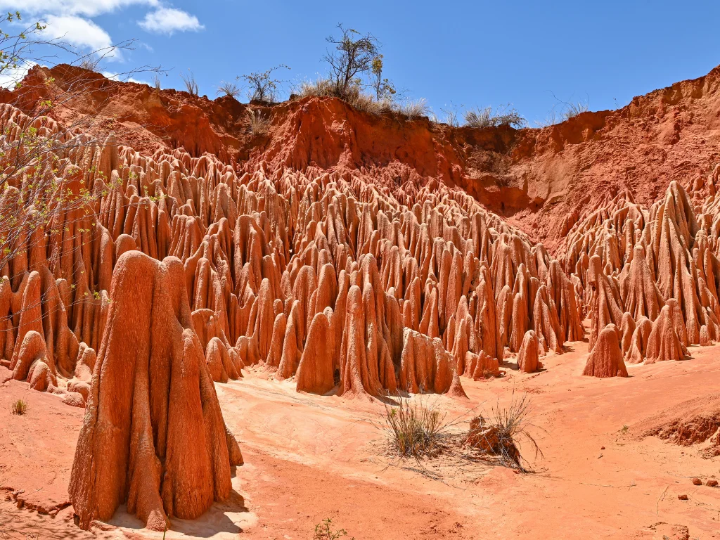 Viaje organizado a Madagascar