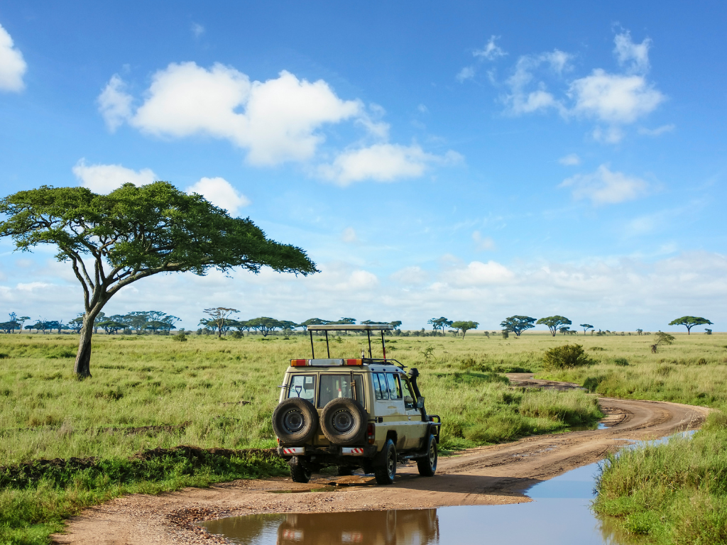 Viaje organizado a Tanzania